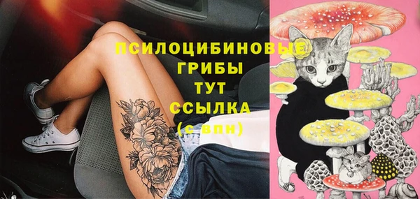 мескалин Соль-Илецк