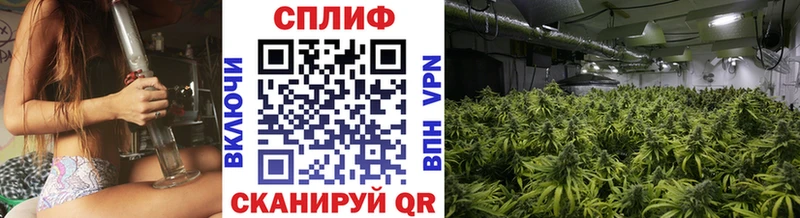 Марихуана ГИДРОПОН Тбилисская